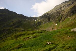 Katschtal 92615 2015-06-18.jpg