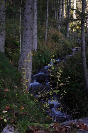 Lengdorferbach 10958 2015-10-27.jpg