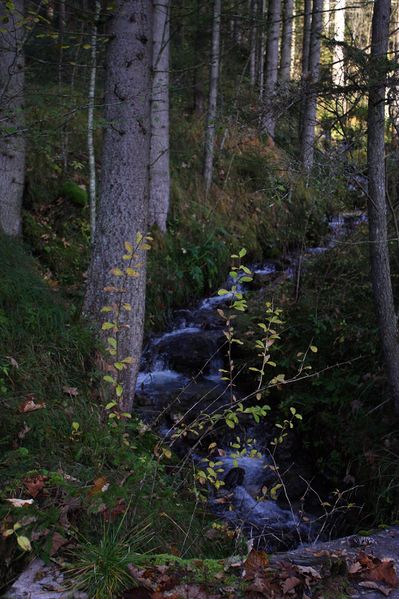 Datei:Lengdorferbach 10958 2015-10-27.jpg