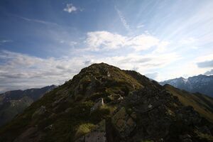 Nageleck 73991 2014-06-15.jpg