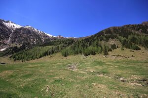 Sattental 45844 2017-05-19.jpg