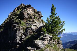 Spateck 94992 2015-07-11.jpg