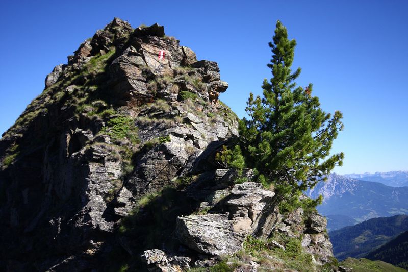 Datei:Spateck 94992 2015-07-11.jpg