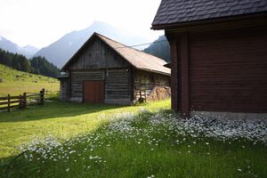 St nikolai 1138 13-06-27.jpg