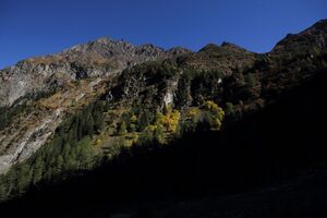 Steinriesental gollinghütte 59627 2017-10-02.jpg