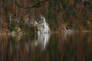Toplitzsee 77773 2014-11-03.jpg