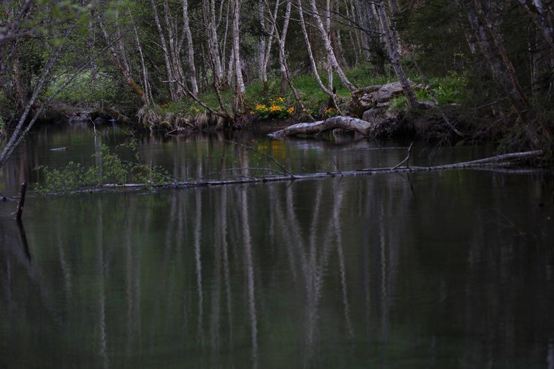 Datei:Untertalbach 6606 2011-05-10.jpg
