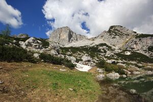 Dreibrüdersee 77424 2018-06-04.jpg