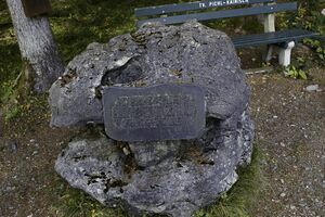 GT herbert Zand knoppenmoos-0300-2021-10-30.jpg