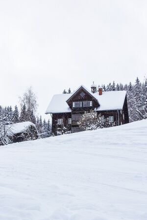 Knoll michaelerberg-0017-2021-12-11.jpg