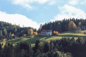 Knoll michaelerberg 25-14-2019-10-16.jpg