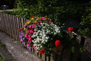 Mössna 44656 2013-07-12.jpg