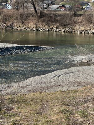 Mündung gulling-enns-0038-2025-03-20.jpg