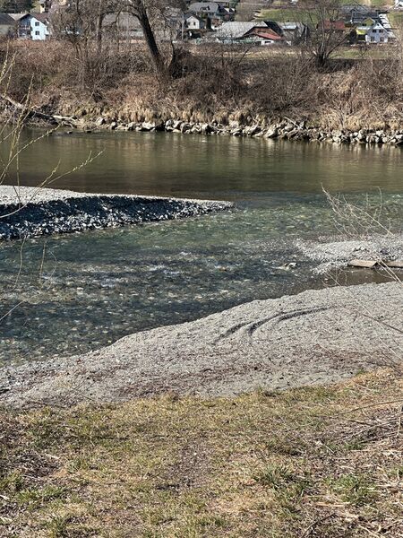Datei:Mündung gulling-enns-0038-2025-03-20.jpg