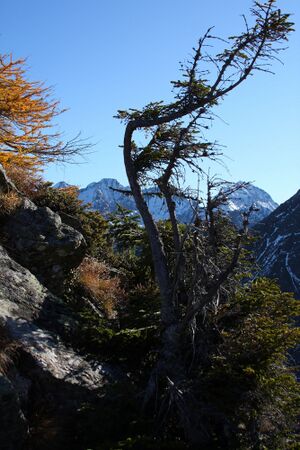 Murspitzsattel 38426 2011-10-31.jpg