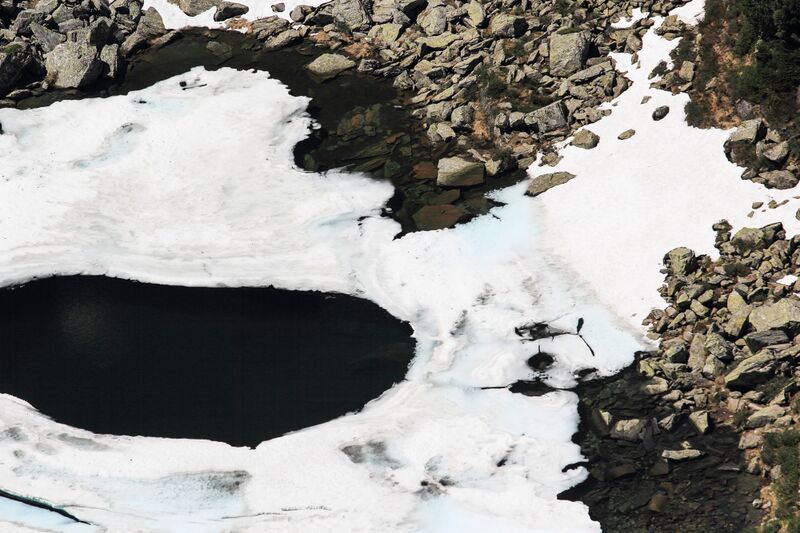 Datei:Obersee -reiteralm 02710 2019-06-28.jpg