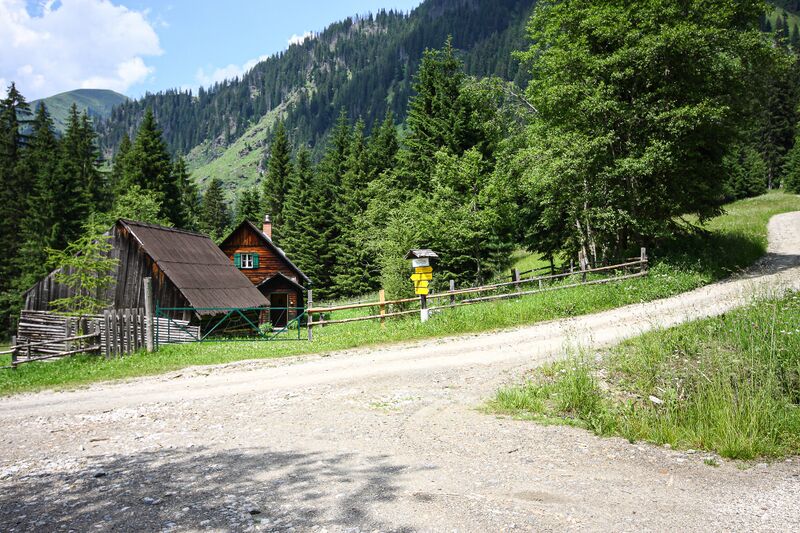 Datei:Riedleralm donnersbach 88932 2013-07-10.jpg