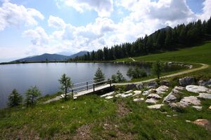 Speicherteich Reiteralmsee 65706 2014-06-27.jpg