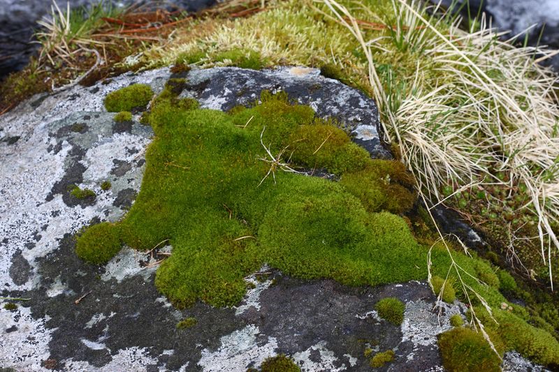 Datei:Strickerkar 55692 2014-05-02.jpg