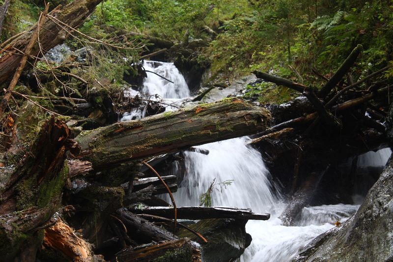 Datei:Teufelsschlucht Seewigtal 73408 2014-10-02.jpg