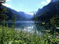 Vorderer Gosausee50160.JPG