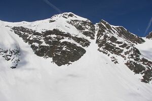 Wildkar 2389 2006-04-10.jpg