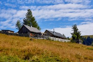 Bärenfeichtenalm-3111-2021-08-03.jpg