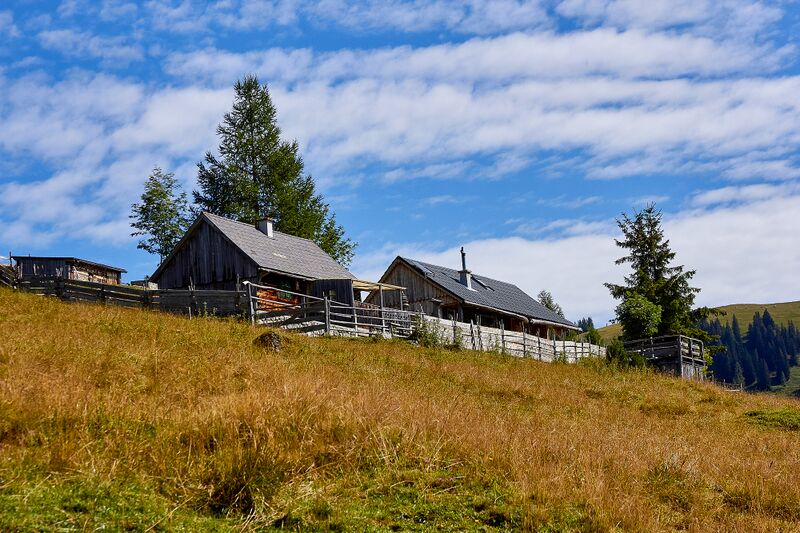 Datei:Bärenfeichtenalm-3111-2021-08-03.jpg
