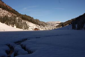 Bodensee 26614 2014-01-01.jpg