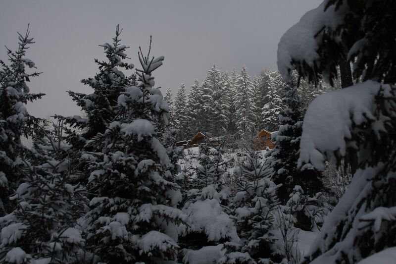 Datei:Dachsteinhaus-ramsau 16-03-09 0065.jpg