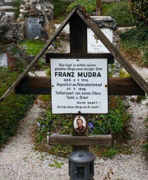 Franz mudra-3100-2018-04-23.jpg