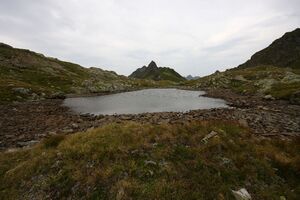 Gamsaugen 1339 13-08-08.jpg