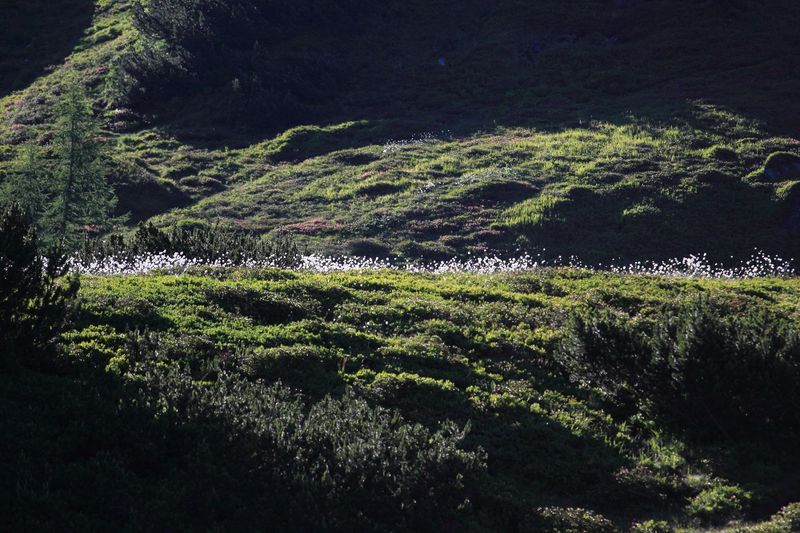 Datei:Gumpenkar 53222 2017-07-05.jpg