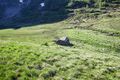Halterhütte lemperkar-1006-2013-06-20.jpg