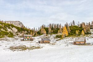 Manuel Capellari CAP161105114055478478.jpg