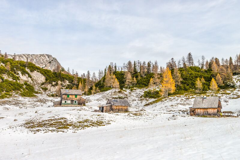 Datei:Manuel Capellari CAP161105114055478478.jpg