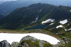 Untere riednersee 65425 2014-06-26.jpg