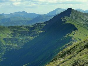 Unterer Riednersee.JPG