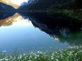 Vorderer Gosausee50269.JPG