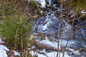 Walchental 43580 2014-02-26.jpg