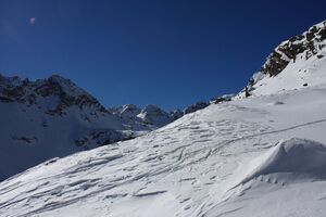 Wildkar 44995 2014-03-09.jpg