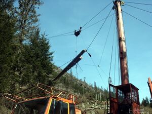 Windwurf sattental4093.jpg