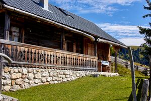 Bärenfeichtenalm-3131-2021-08-03.jpg