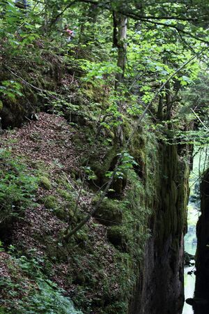 Flößereidurchbruch kammersee 46974 2017-05-17.jpg