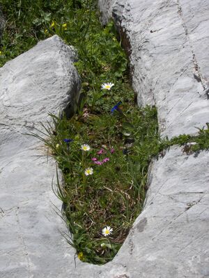 Giglach 2202 2006-07-10.jpg