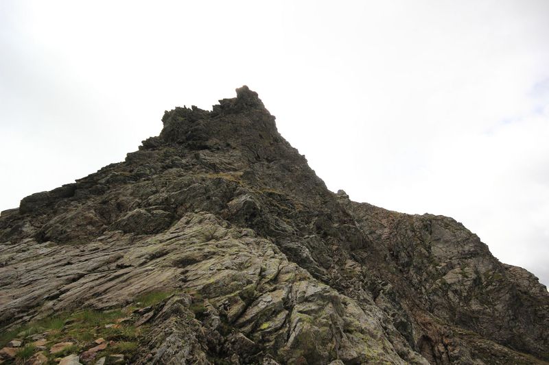 Datei:Graunock 56060 2017-08-22.jpg