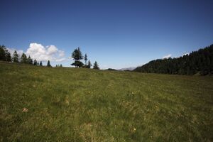 Gumpenkar 53163 2017-07-05.jpg