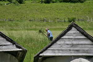 Höflechner vlg schwoager0017.jpg