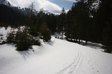 Höll beireutalm 20478 2016-03-30.jpg