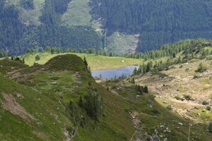 Schobersee 94079 2015-06-26.jpg